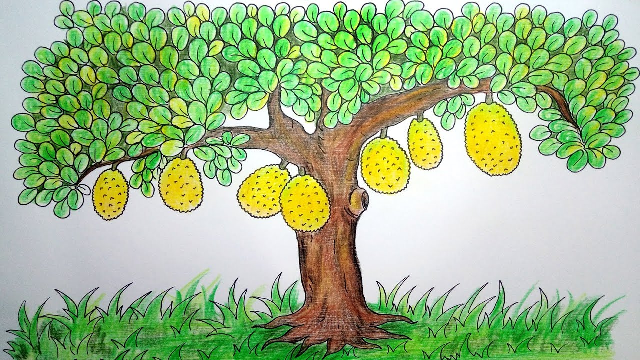 3d Mango Tree Drawing - Trick Art On Paper - YouTube